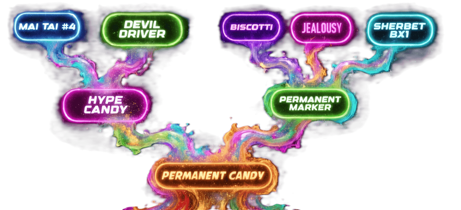 Permanent Candy Family Tree